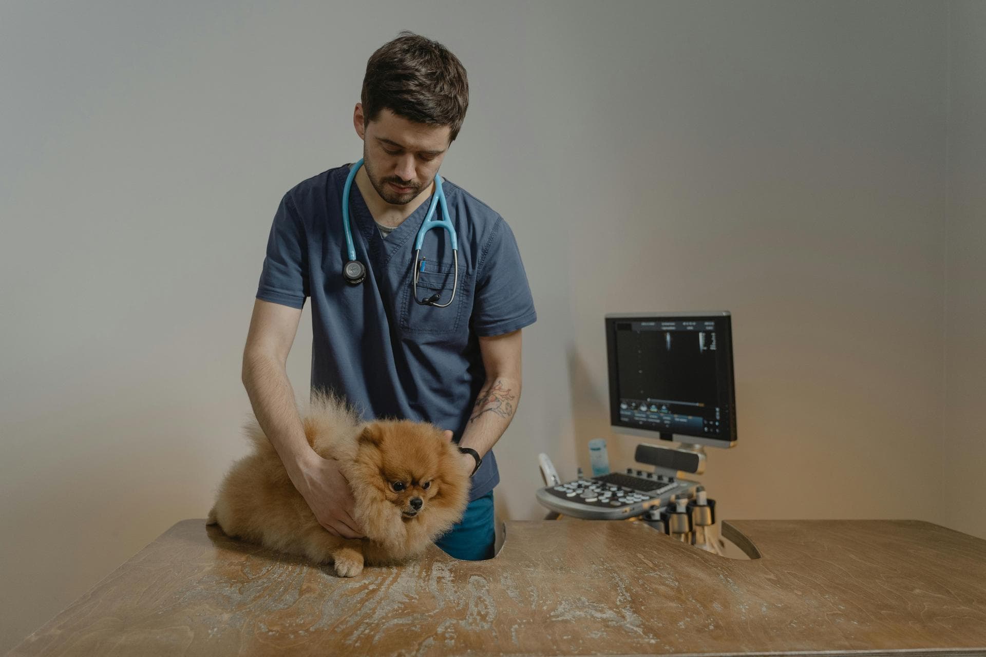 Best Vets in Jackson